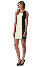 Women's Color Block Ponte Lace Dress